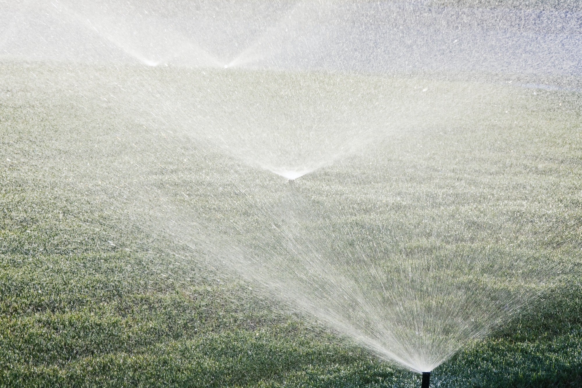 Beregening 1 | Onrust | Nieuw-Buinen Sprinklers on Lawn